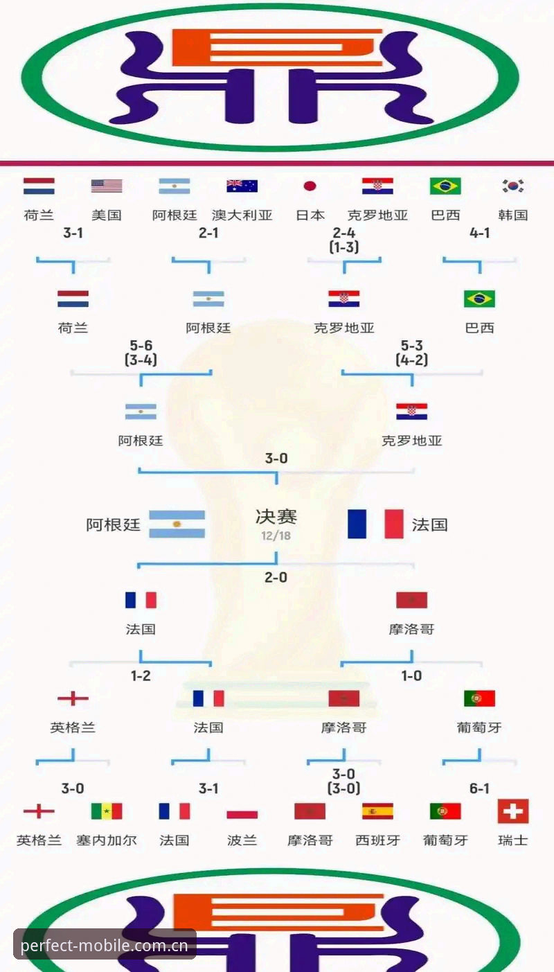 世界杯观赛困境深度解析：签证战争与票务冷场